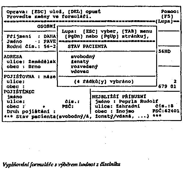 Obr�zek str�nky textu